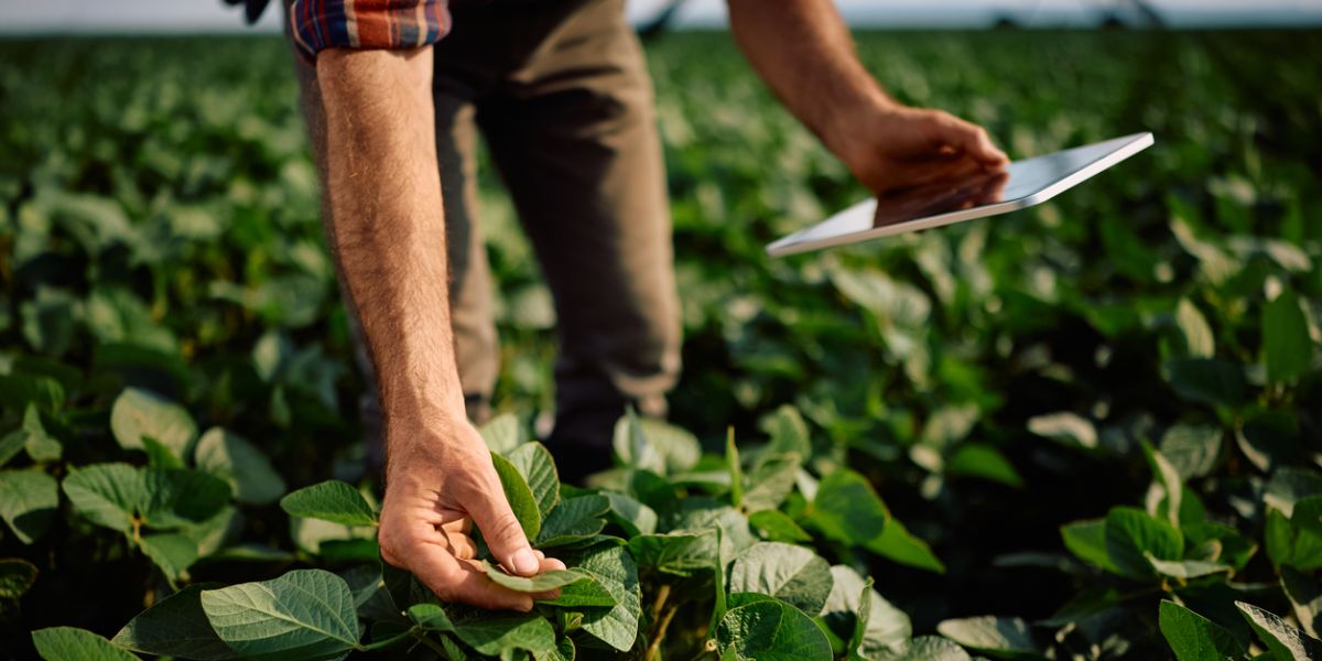 Agro acelera produtividade com uso de dados e tecnologia no campo